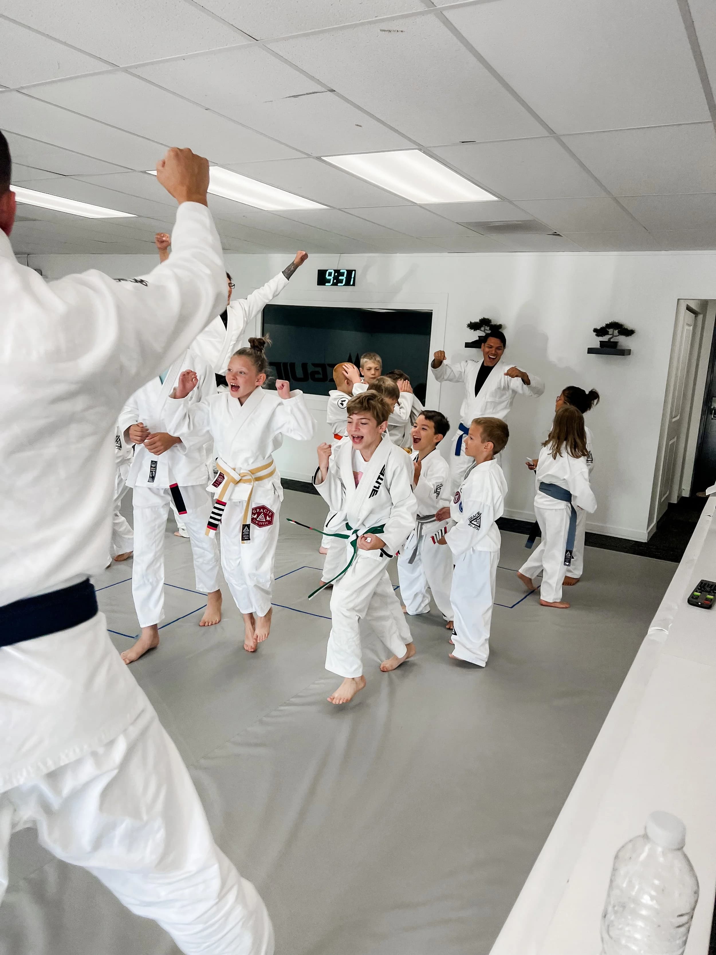 Jiu-Jitsu